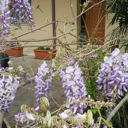 I Molini Apartamento Magione