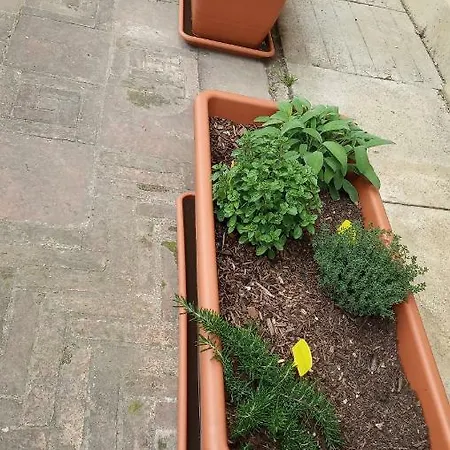 Apartamento I Molini *